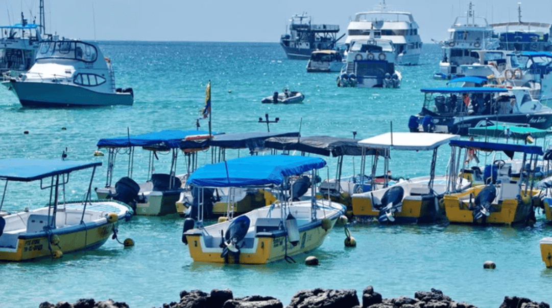 taxi boat acquatico
